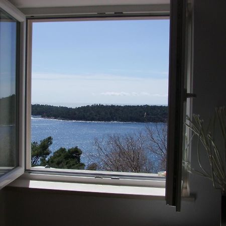شقة A Bright Hideaway دوبروفينك المظهر الخارجي الصورة